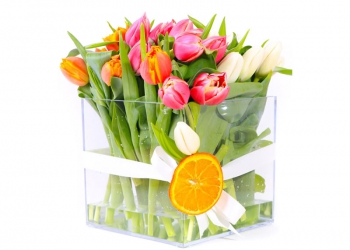 Special Tulip Bouquet